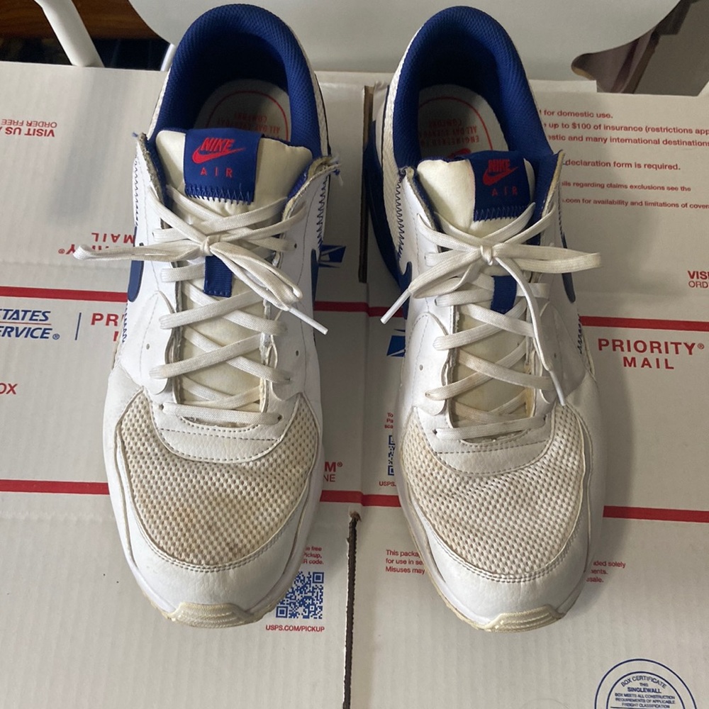 Nike air max shoes